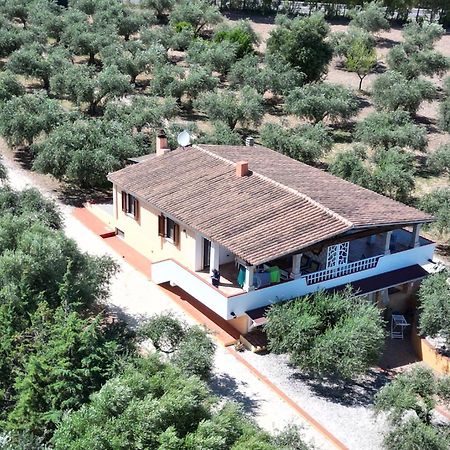 Rustico Degli Ulivi Apartment Orosei Ngoại thất bức ảnh